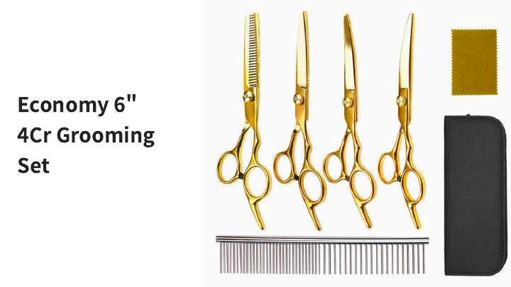 Economy 6-inch 4Cr Grooming Set - Gold
