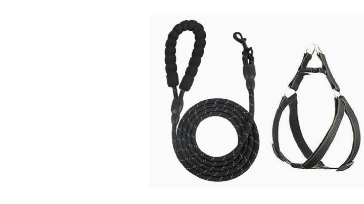 Multifunctional Double Dog Leash