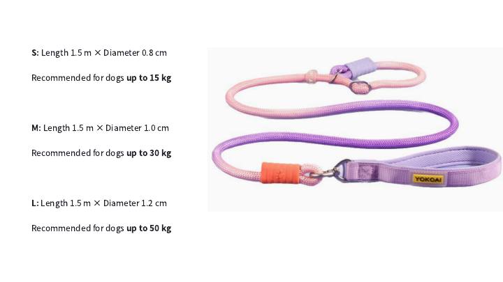 Reflective Harness & Leash Set